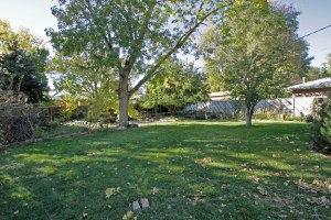 6843_teller_court_MLS_HID832066_ROOMbackyard3
