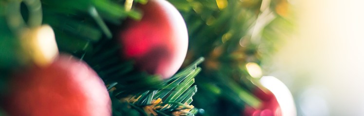 stocksnap_d8uxuftid5